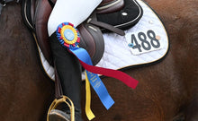 Load image into Gallery viewer, Cookie Monster Show Number Pins