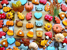 Load image into Gallery viewer, A Dozen Fall Minis

