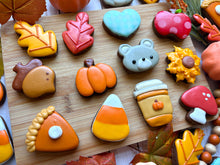 Load image into Gallery viewer, A Dozen Fall Minis
