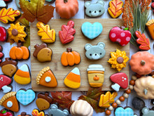 Load image into Gallery viewer, A Dozen Fall Minis
