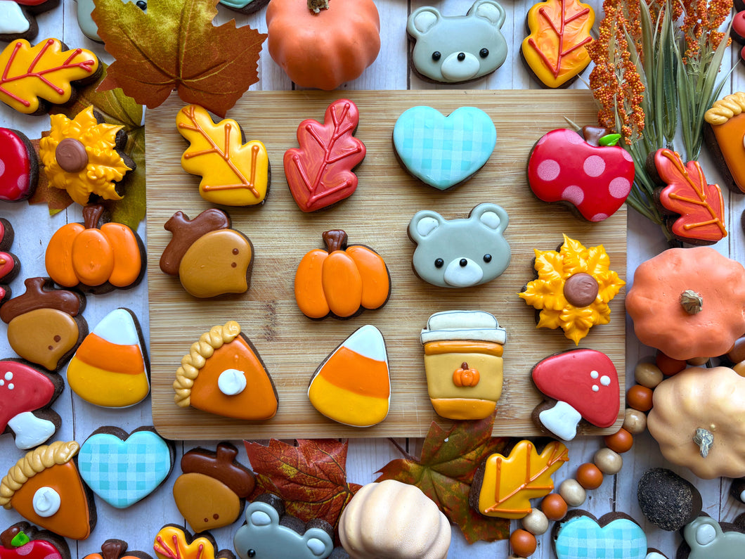 A Dozen Fall Minis