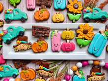 Load image into Gallery viewer, A Day At The Pumpkin Patch!!
