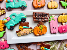 Load image into Gallery viewer, A Day At The Pumpkin Patch!!
