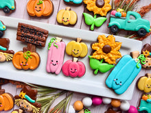 Load image into Gallery viewer, A Day At The Pumpkin Patch!!
