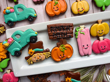 Load image into Gallery viewer, A Day At The Pumpkin Patch!!
